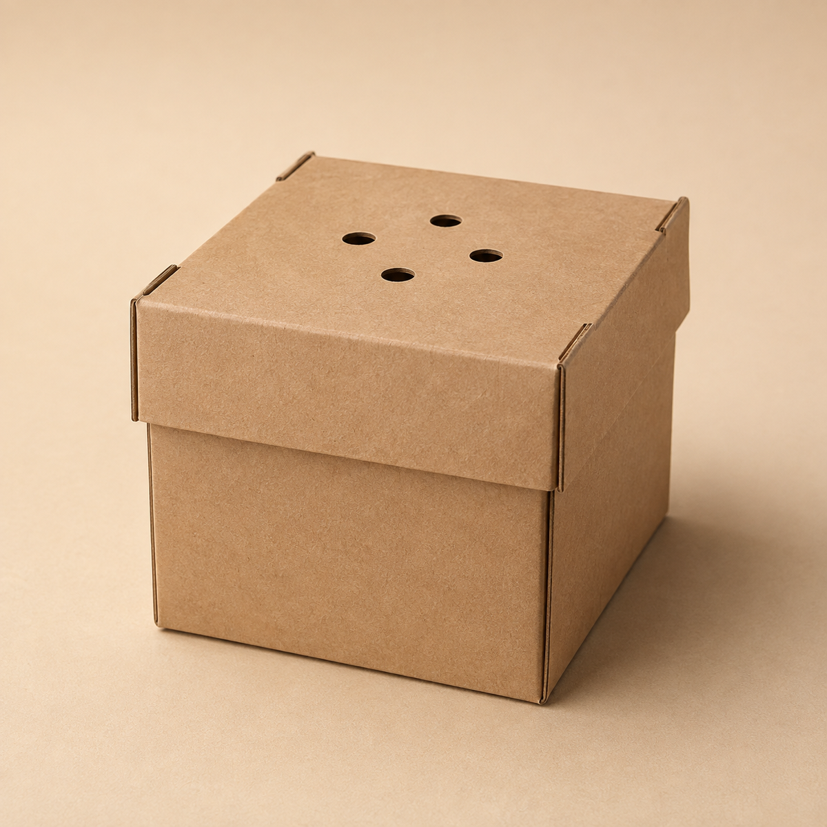 Standard faltbare, unbedruckte Burger-Boxen aus Kraftkarton (Hardbox)
