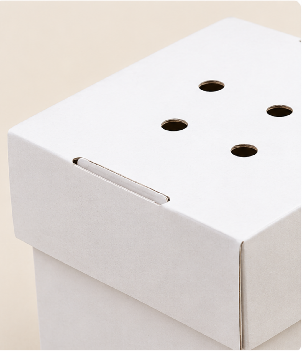 Standard faltbare, unbedruckte Burger-Boxen aus Kraftkarton (Hardbox)