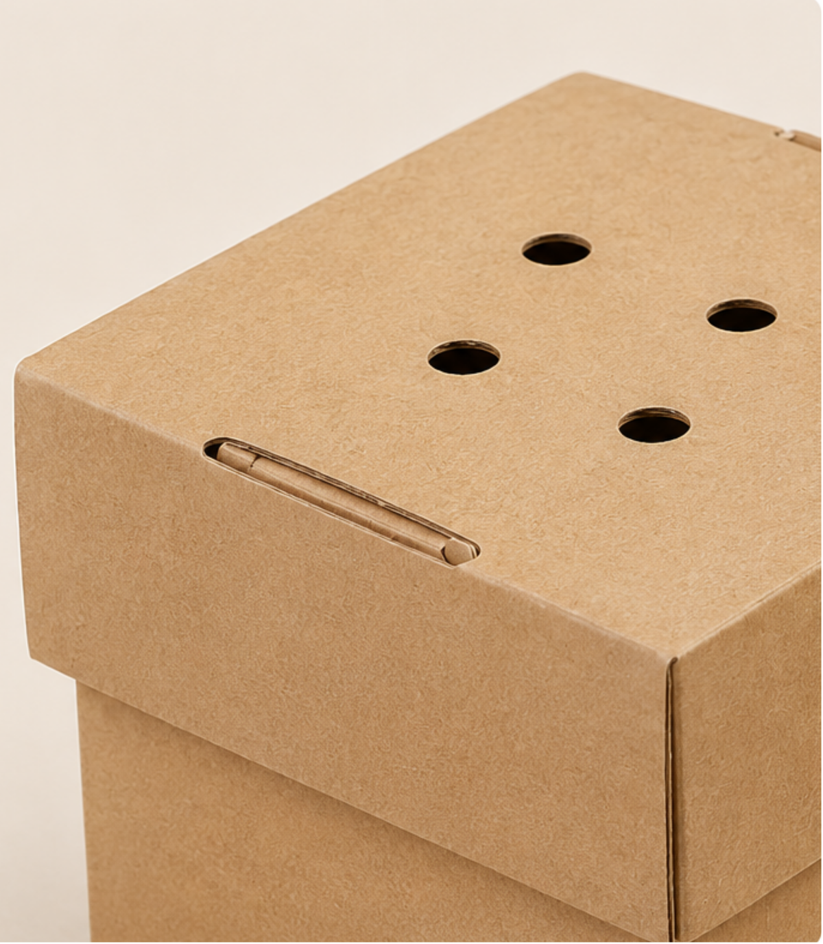 Standard faltbare, unbedruckte Burger-Boxen aus Kraftkarton (Hardbox)