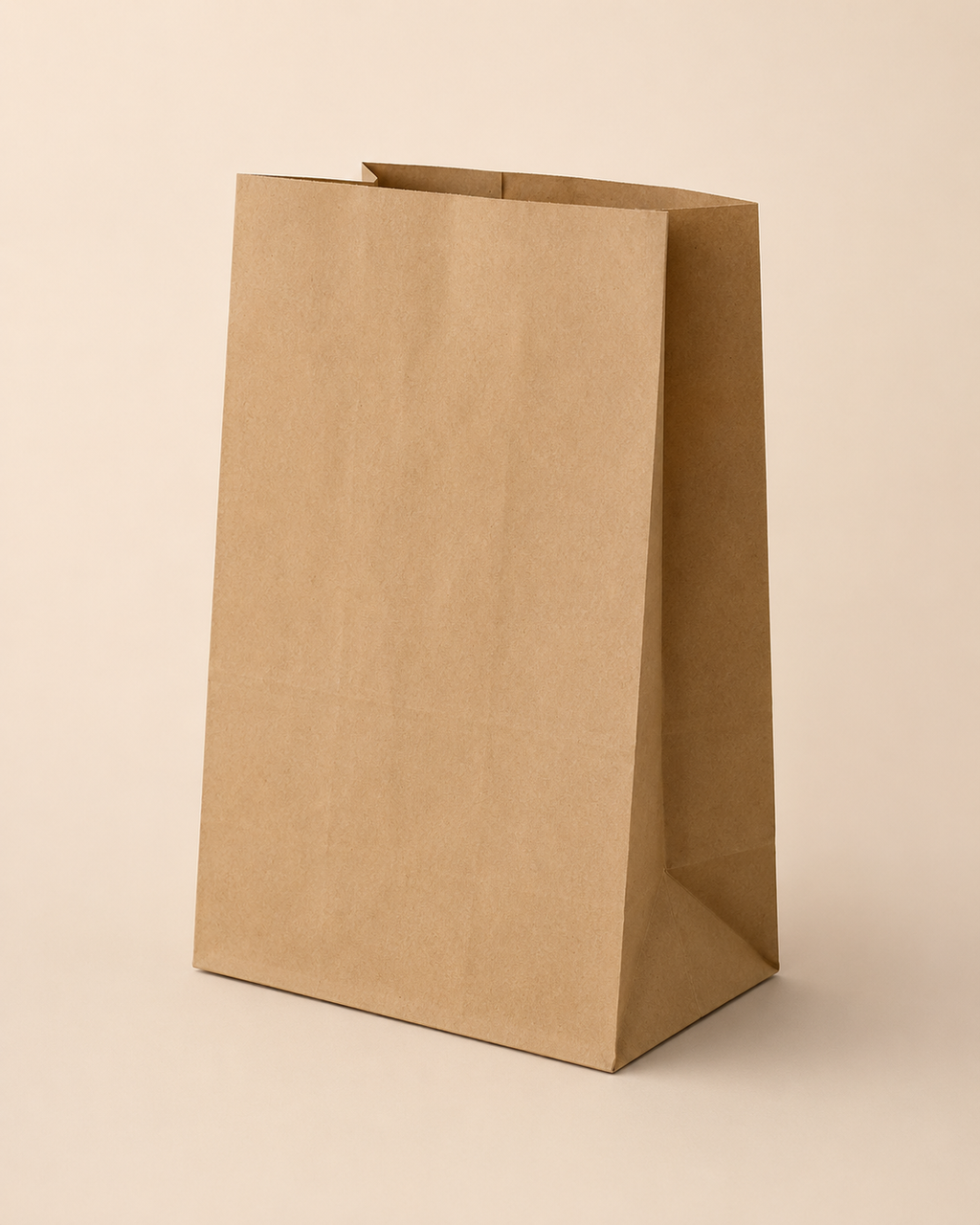 Standardmäßige, unbedruckte Papiertragetaschen zum Mitnehmen, ohne Namen / ohne Design